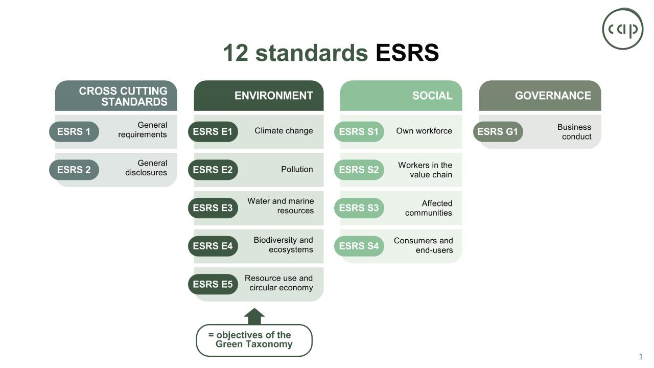 Schema met 12 ESRS-standaarden.